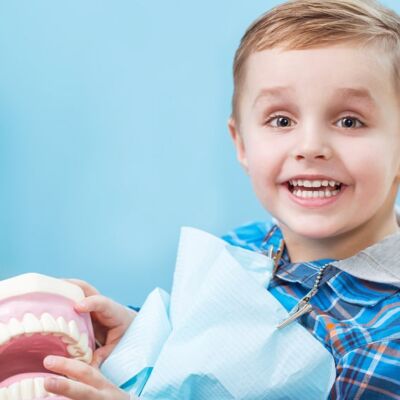 Tooth and Jaw Development - Pittsburgh Dentist